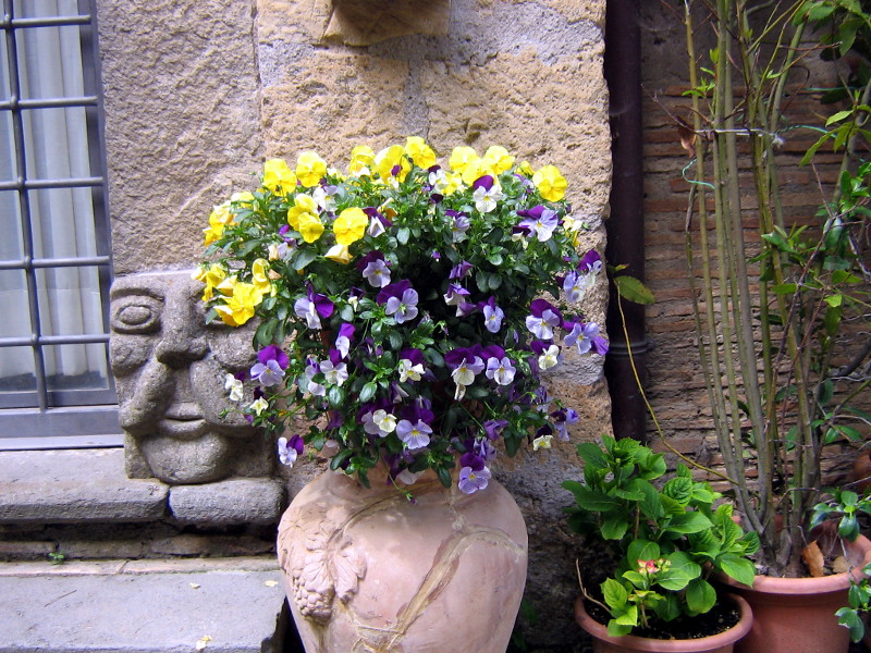 Civita di Bagnoregio