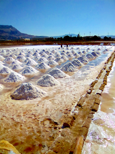 Le Saline