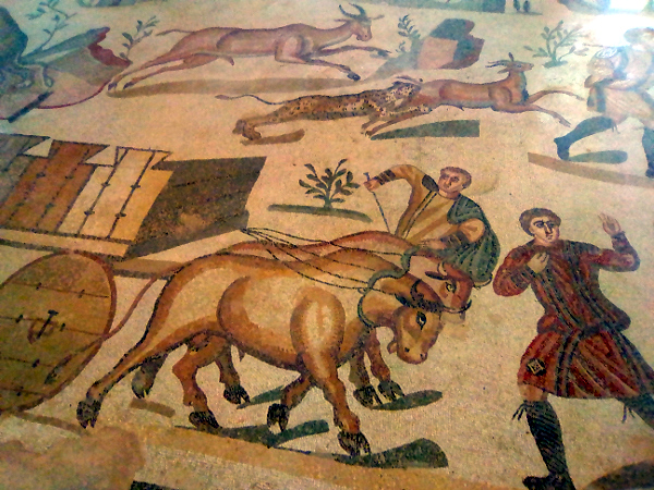 Mosaici