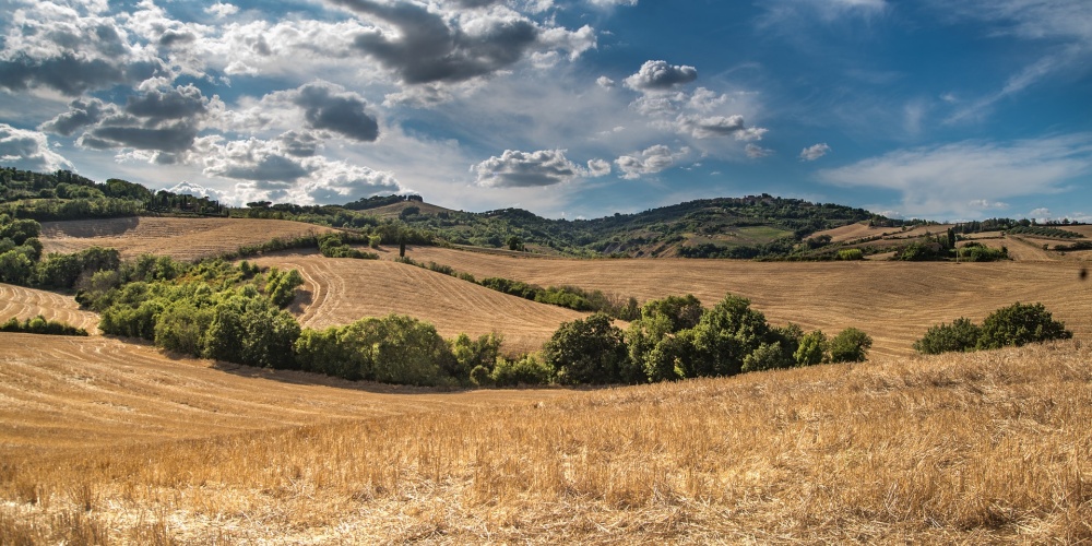 bernalda1.jpg