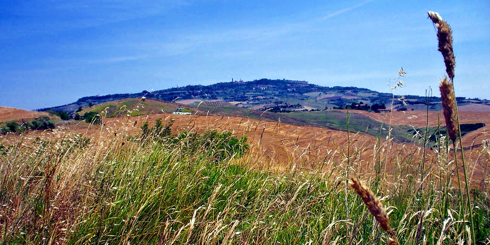 castiglione-d-orcia1.jpg