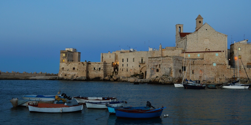 giovinazzo1.jpg