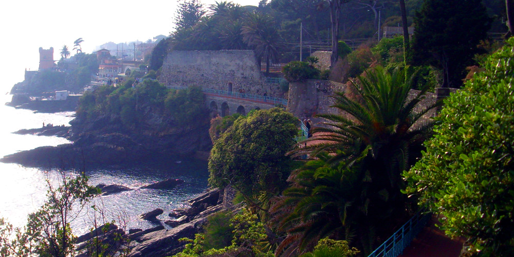 nervi1.jpg