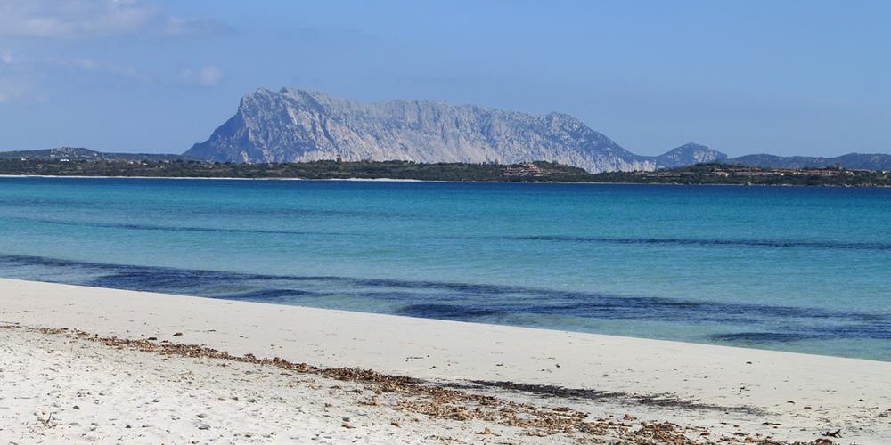 olbia1.jpg